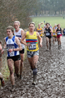 Senior womens 2018 British Inter Counties Cross Country Champs., Prestwold Hall, Loughborough. Photo: David T. Hewitson/Sports for All Pics